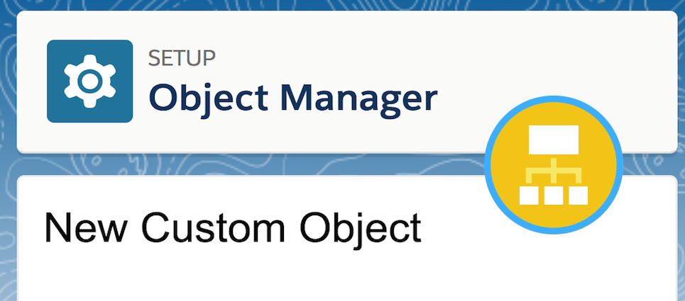 Using Custom Object and Custom Fields in Salesforce