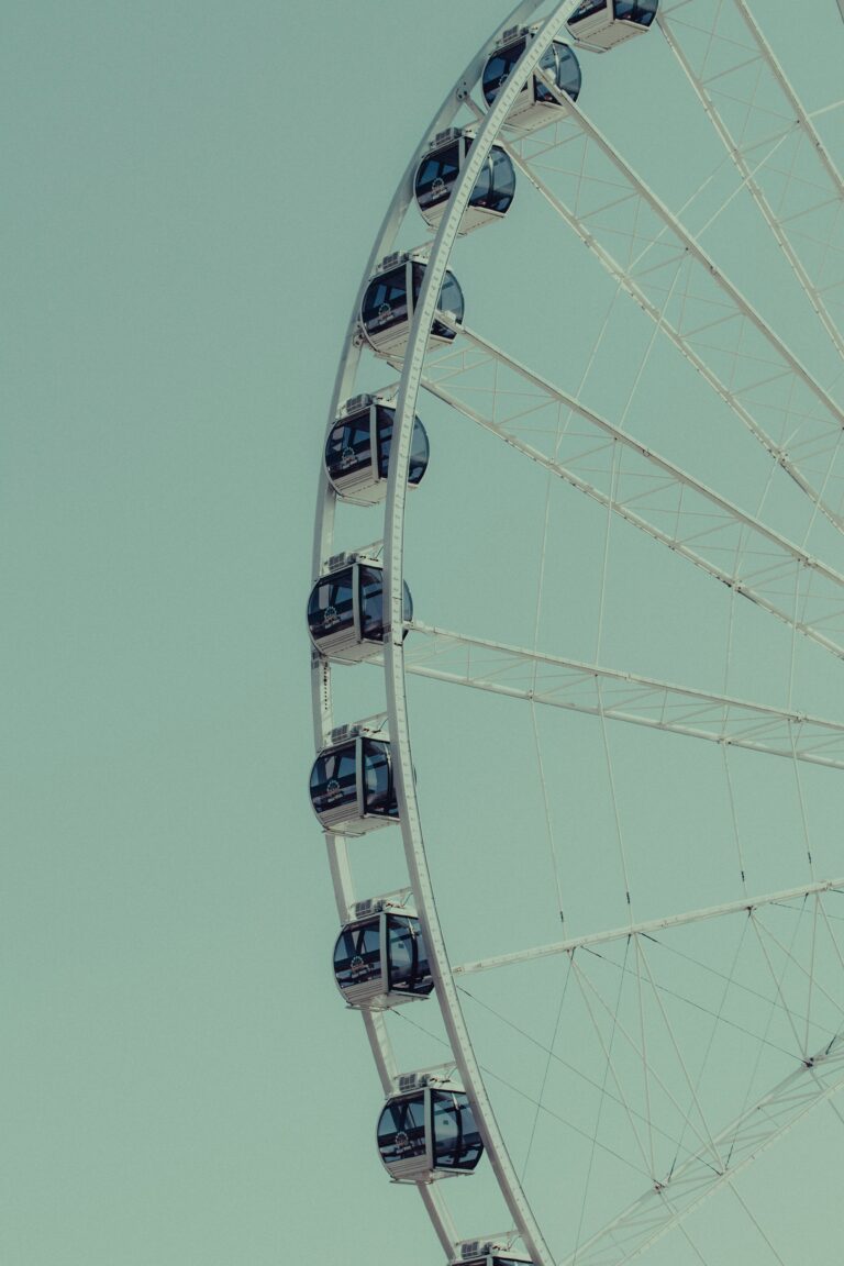 cody-fitzgerald-cFEy-8Bisig-unsplash