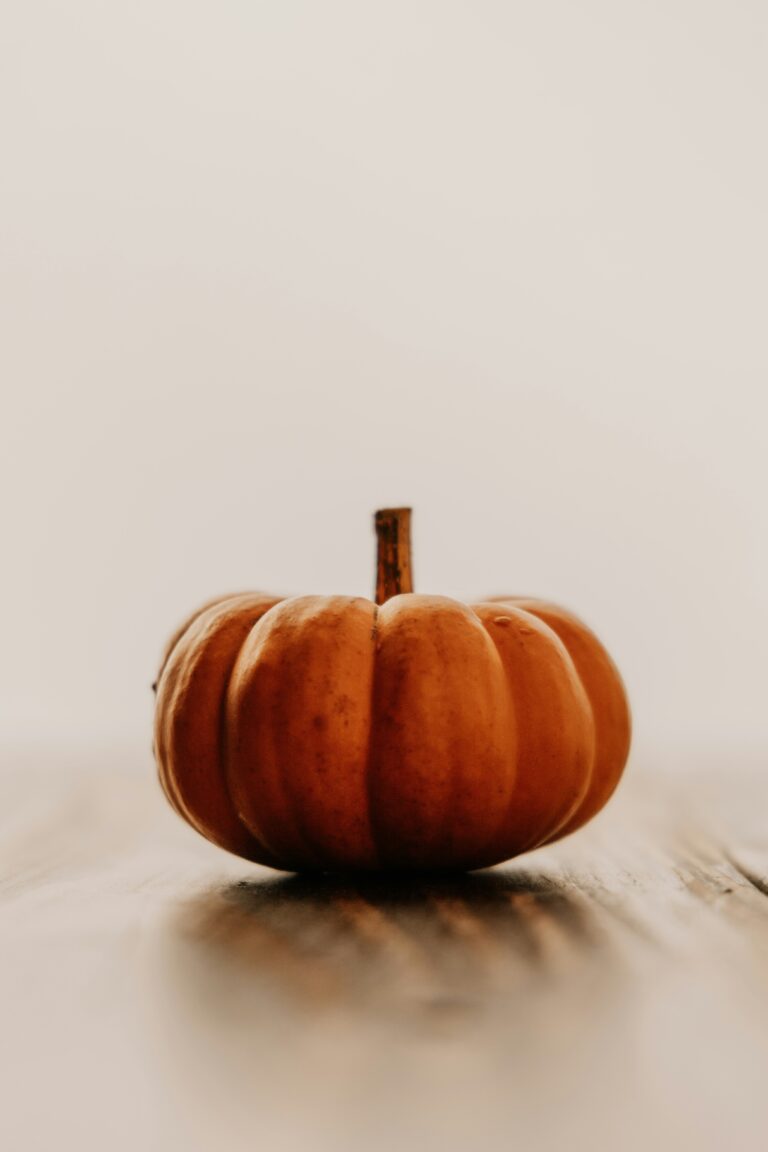 elijah-pilchard-F11ht_HjVdU-unsplash